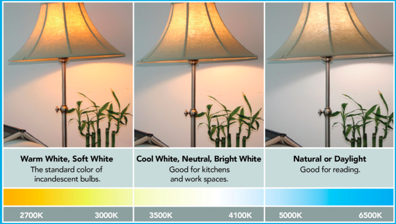 Daylight Bulb Vs Warm White Bulb for Desk: Which Is Best?