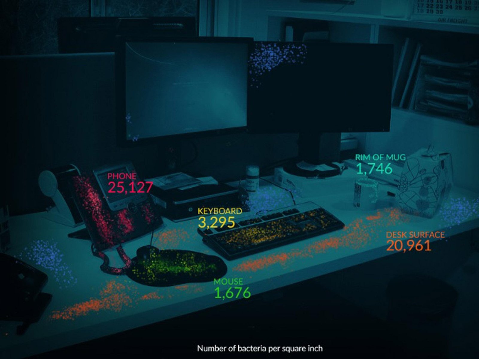 Office Desk Bacteria: Surprising Facts You Need to Know